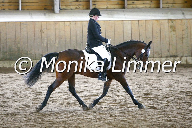 006M5046_Dressur A.JPG